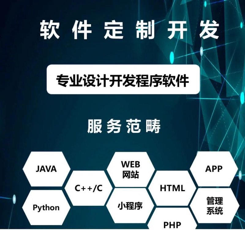 软件定制开发:构建未来商业蓝图的力量